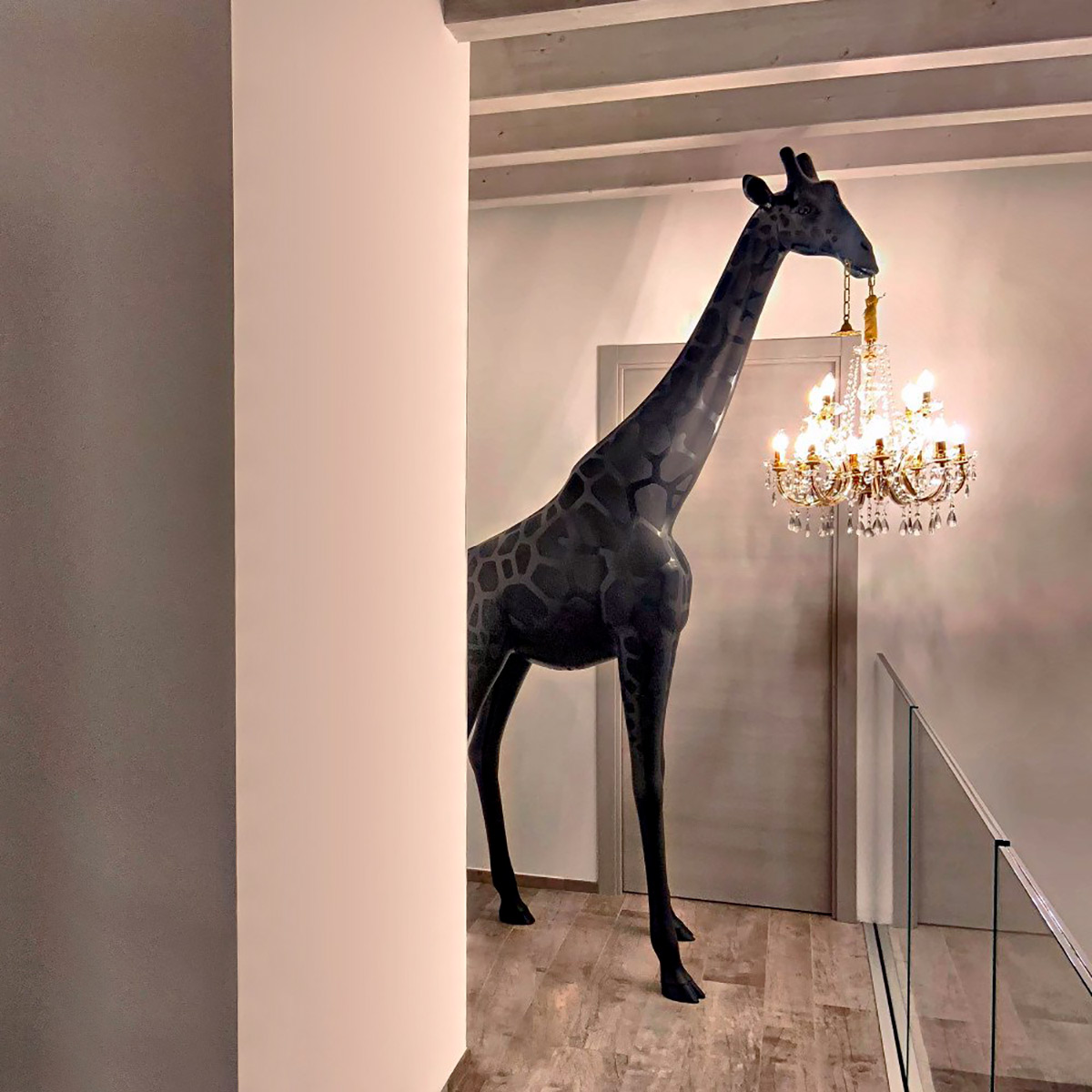 giraffe in love m indoor