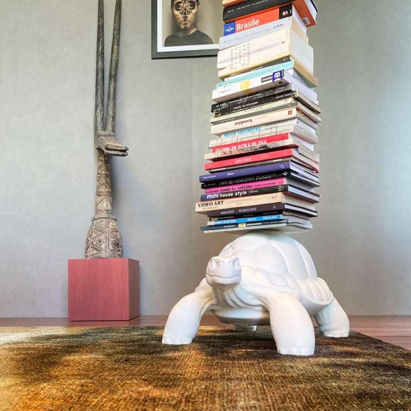 turtle carry white bookcase 2